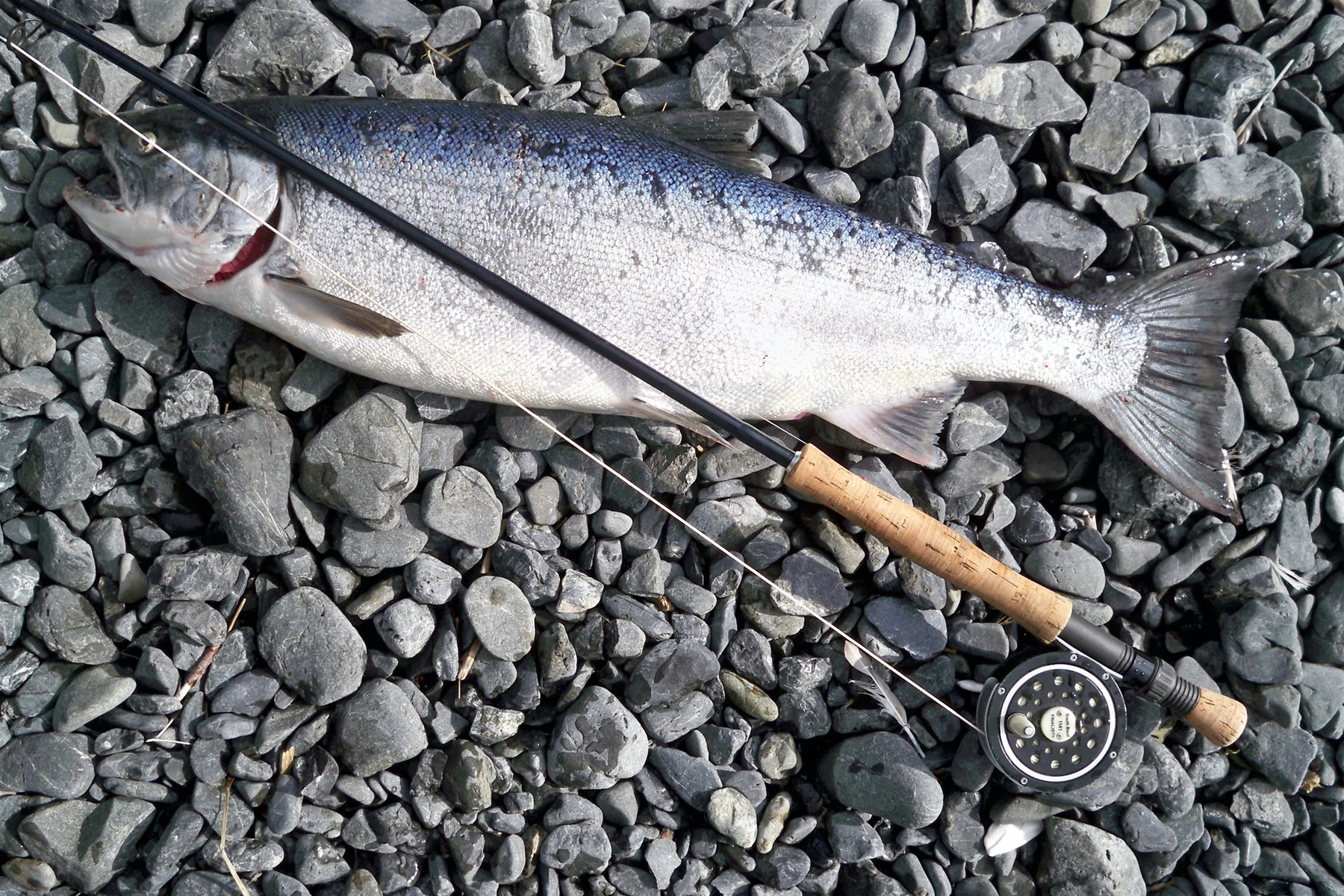 Fishing